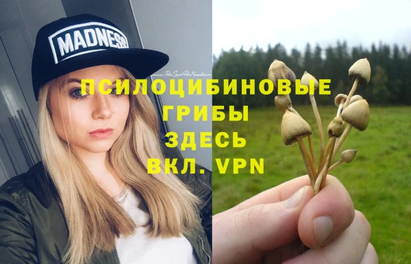 МДПВ Алзамай